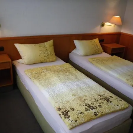 酒店 Stadthotel 2*